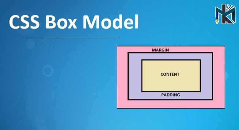 Box Model در CSS