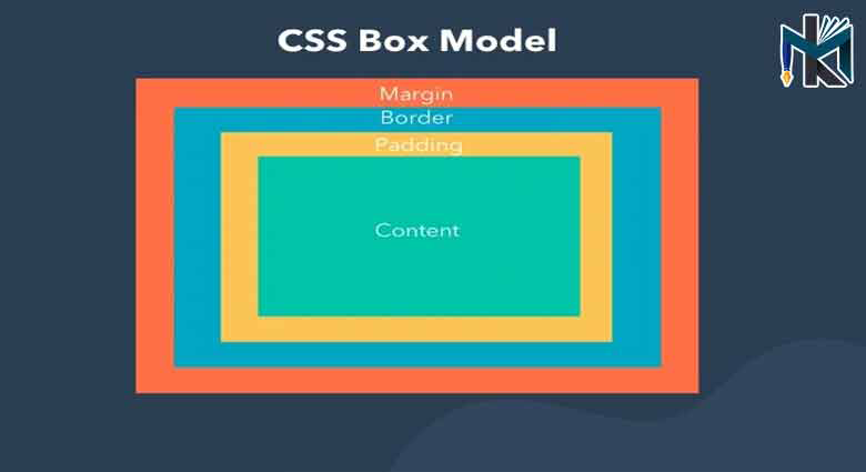 Box Model در CSS